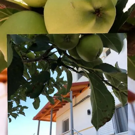 Hotel Apostoli Permet