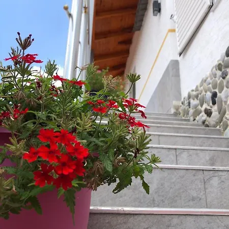 Apostoli Πρεμετή