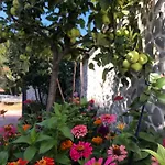 Apostoli